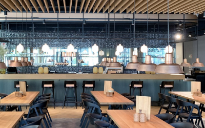 Hirnakrobat goes Live: Backgammon Challenge Bonn